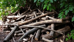 welches holz darf ich nicht im kaminofen verbrennen