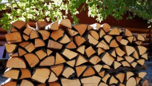 wie lange muss holz trocknen für kamin